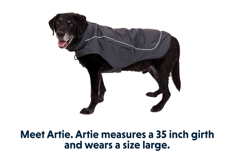 Ruffwear clearance dog clothes