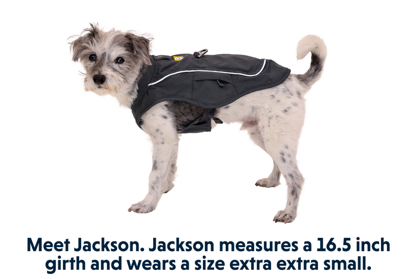 Ruffwear dog coats clearance sale