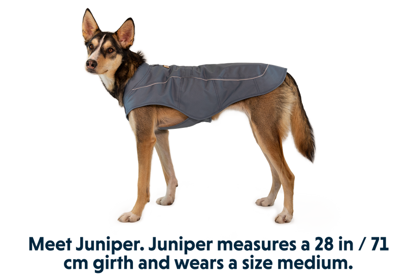 Ruffwear dog coats clearance sale