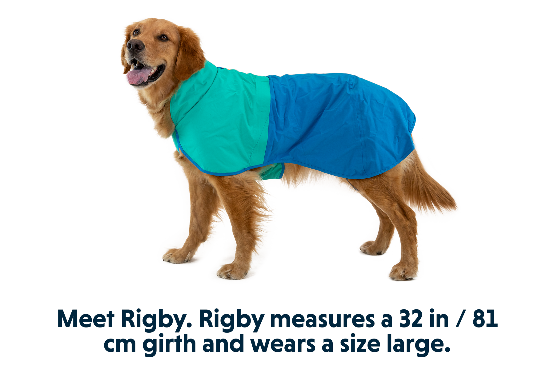 Dog rain jackets uk sale