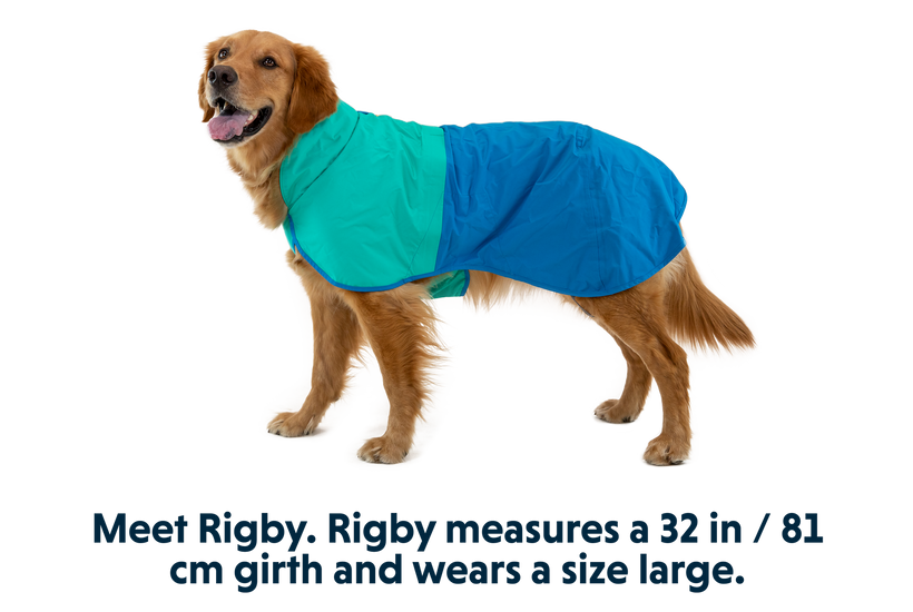 Rain jacket hot sale for golden retriever