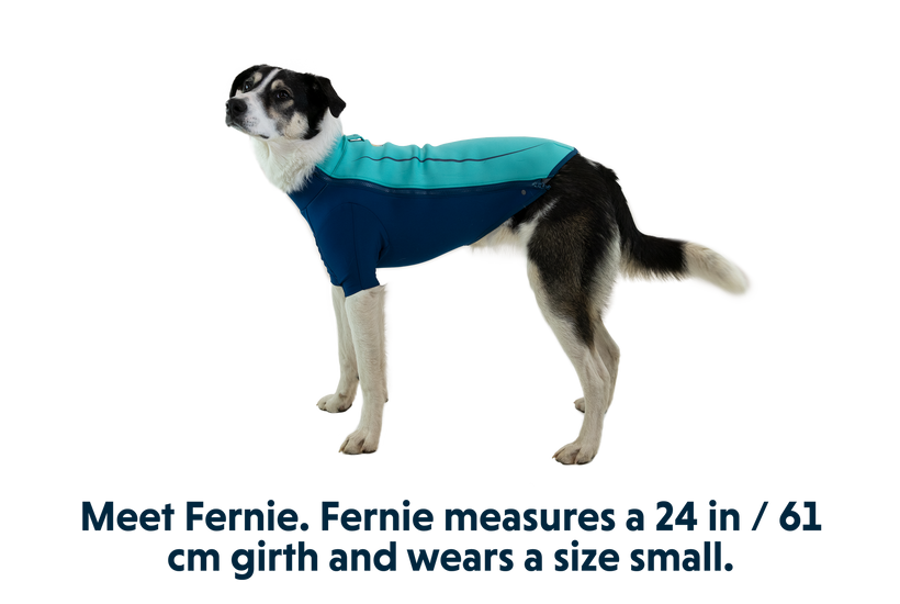 Ruffwear fernie top dog coat