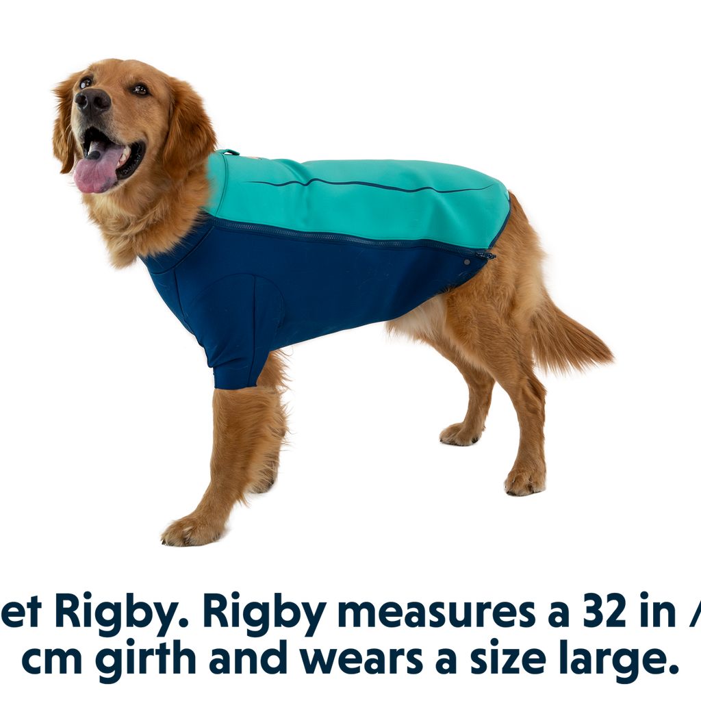 Undercoat™ Jacket Dog Wetsuit Ruffwear