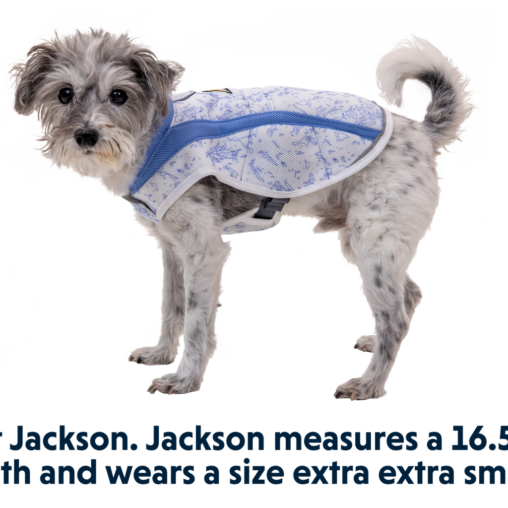 Swamp Cooler™ Dog Cooling Vest Ruffwear