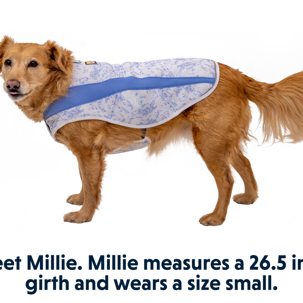 Swamp Cooler™ Dog Cooling Vest Ruffwear