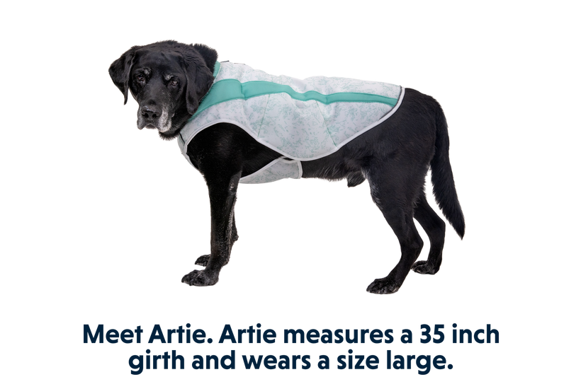 Ruffwear cooling vest reviews deals