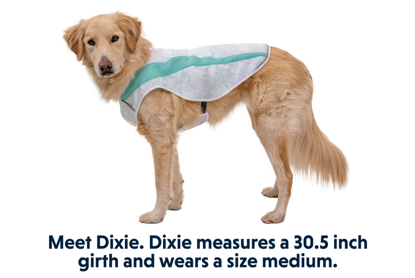 Swamp Cooler Dog Cooling Vest