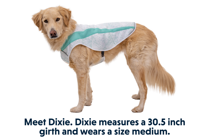 Swamp Cooler™ Dog Cooling Vest | Ruffwear