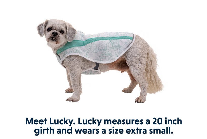 Swamp Cooler Dog Cooling Vest Ruffwear