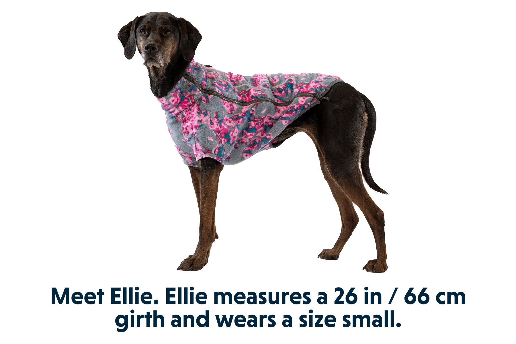 Ruffwear best sale climate changer