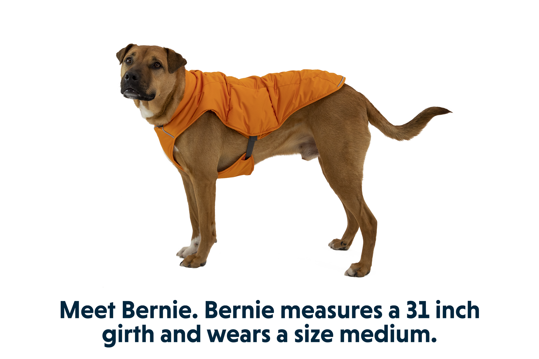 Ruffwear quinzee dog jacket top