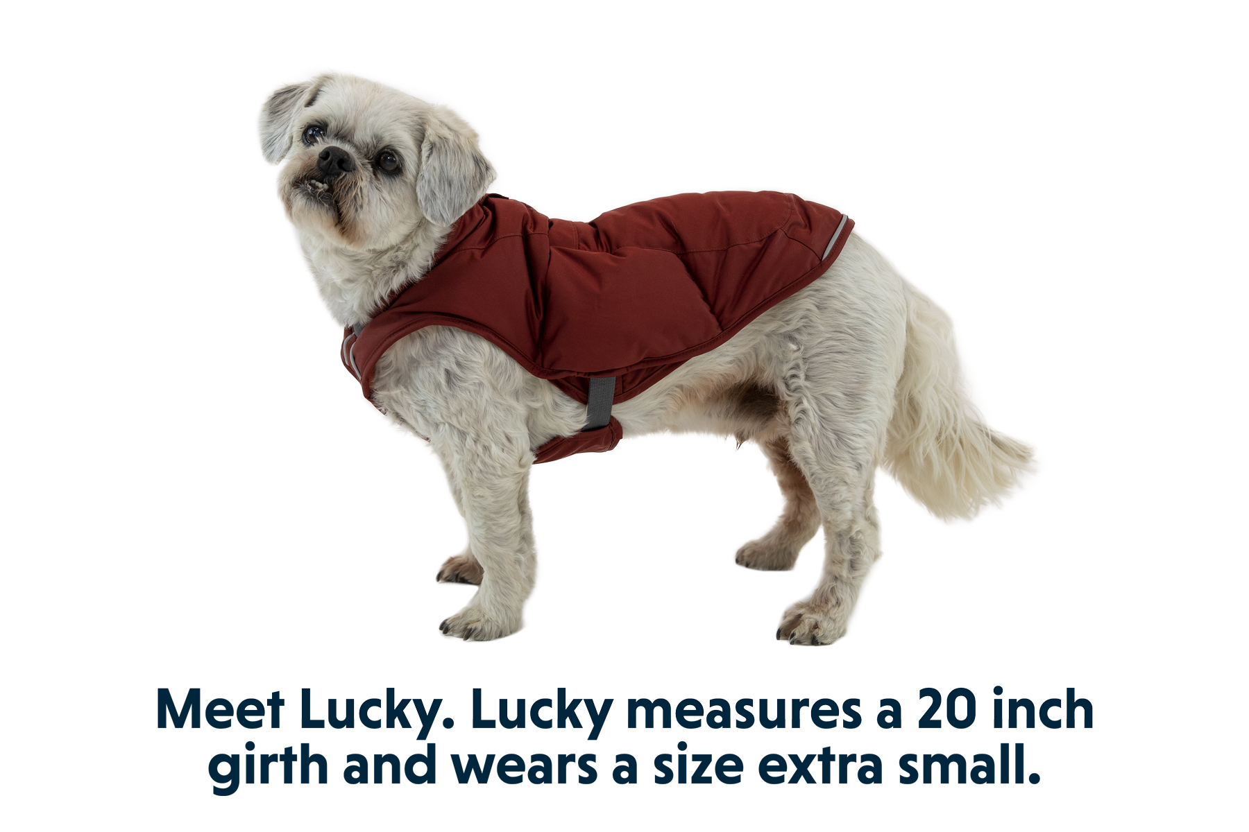 Ruffwear best sale quinzee coat