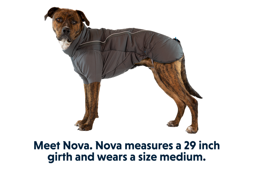 Ruffwear top track jacket