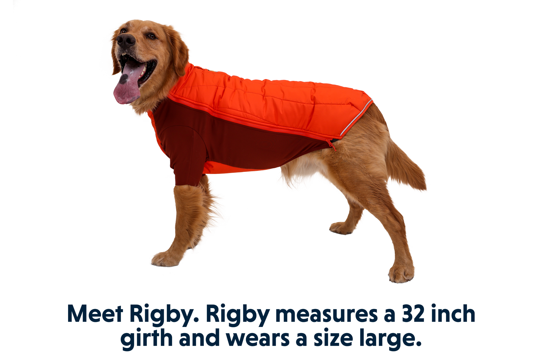 Powder hound jacket 2025