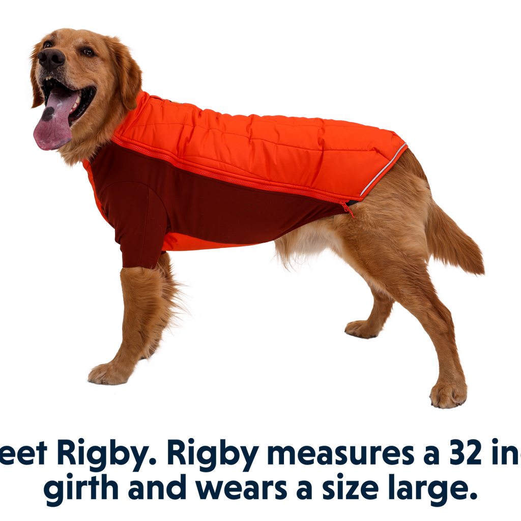 Powder Hound™ Dog Jacket Ruffwear