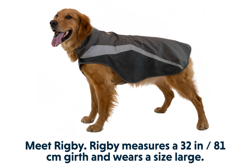 Ruffwear Giacca Ad Alta Visibilità Lumenglow Arancione XXS