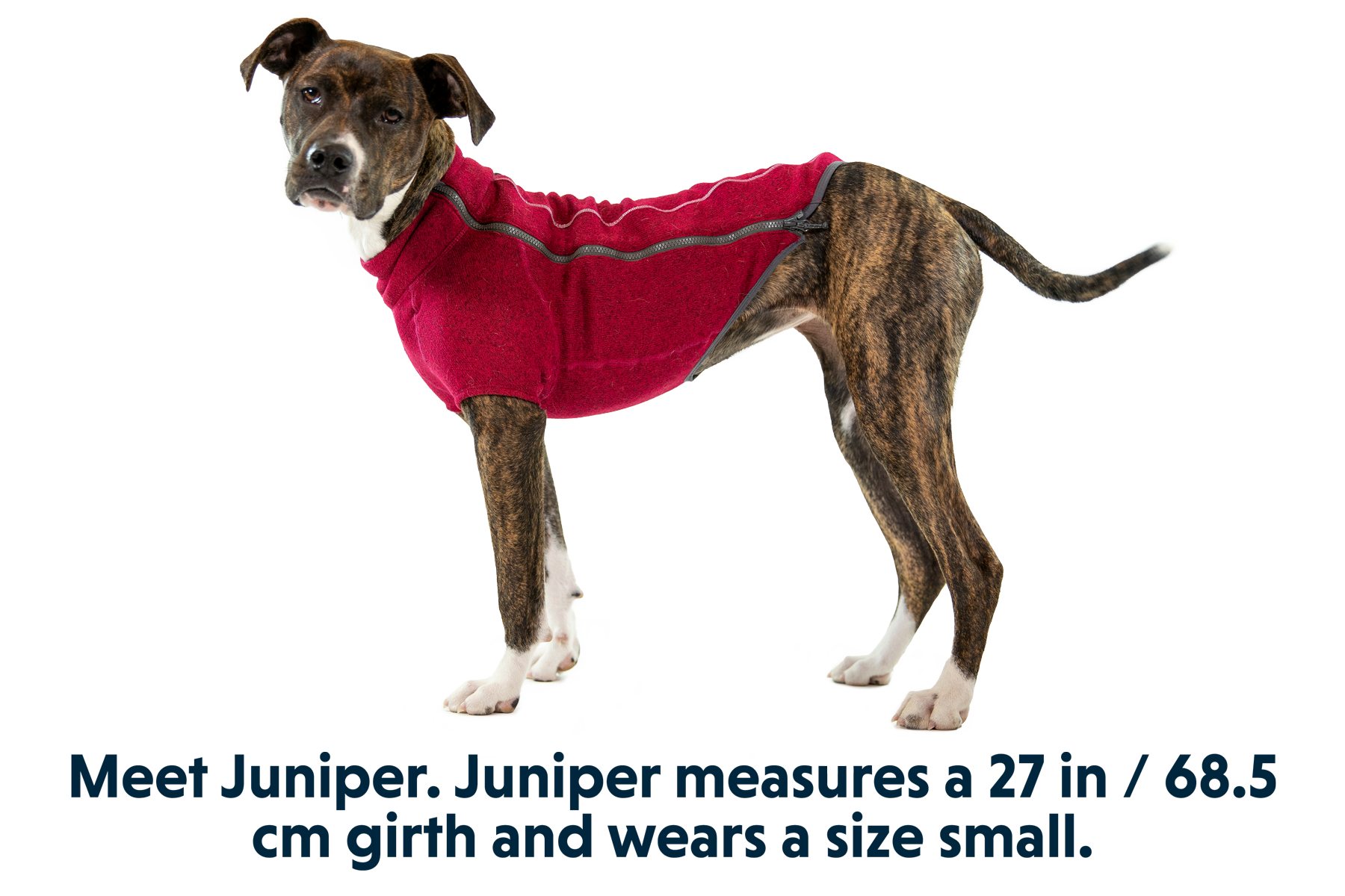 Ruffwear fernie top dog sweater