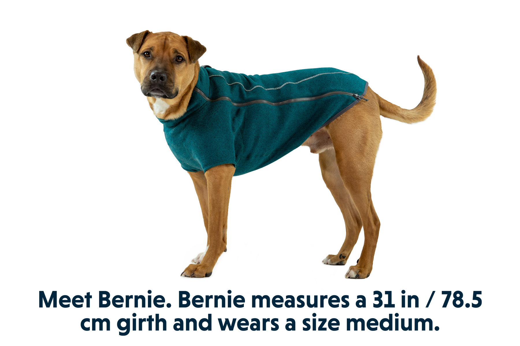 Fernie Dog Sweater
