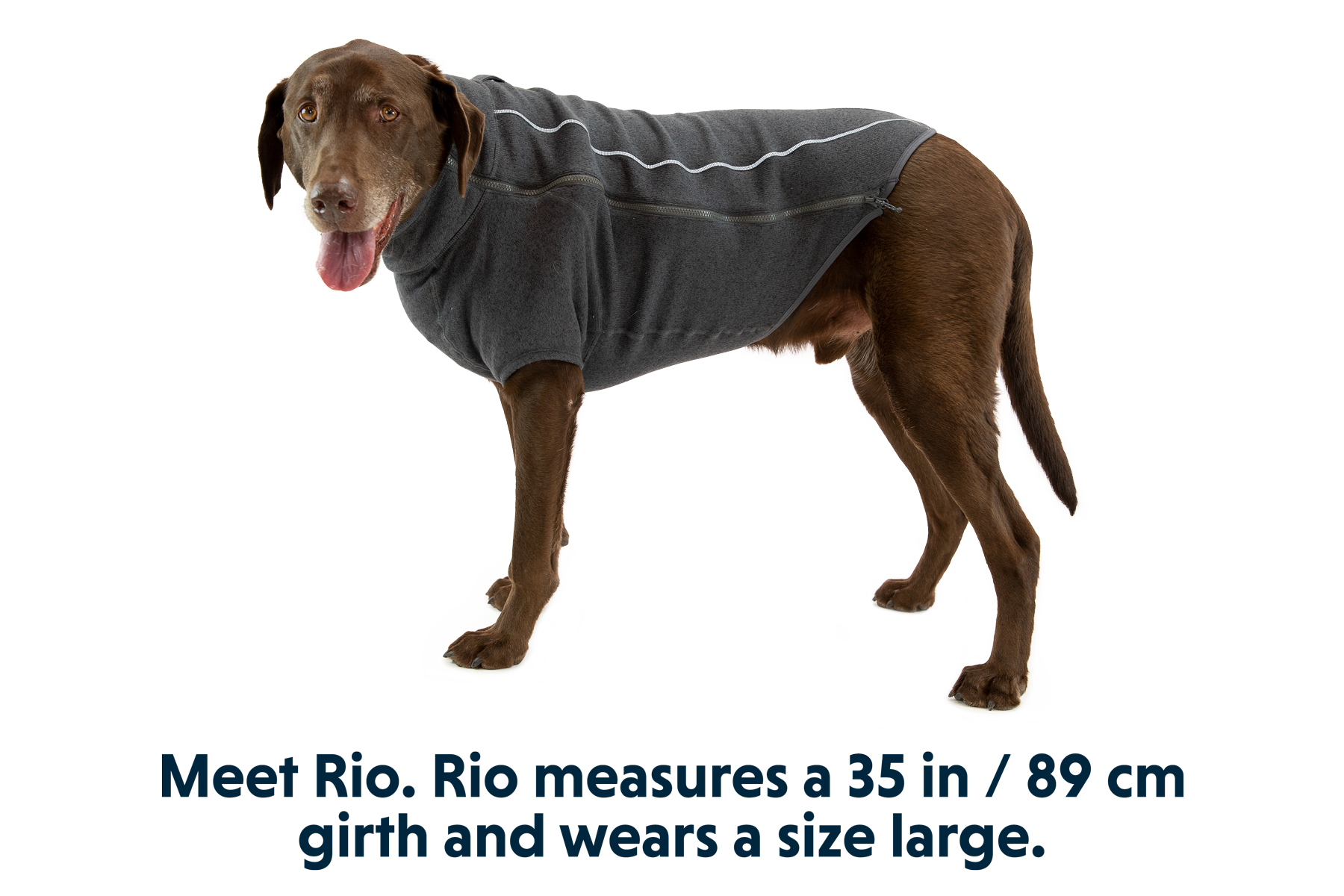 Ruffwear fernie dog sweater hotsell