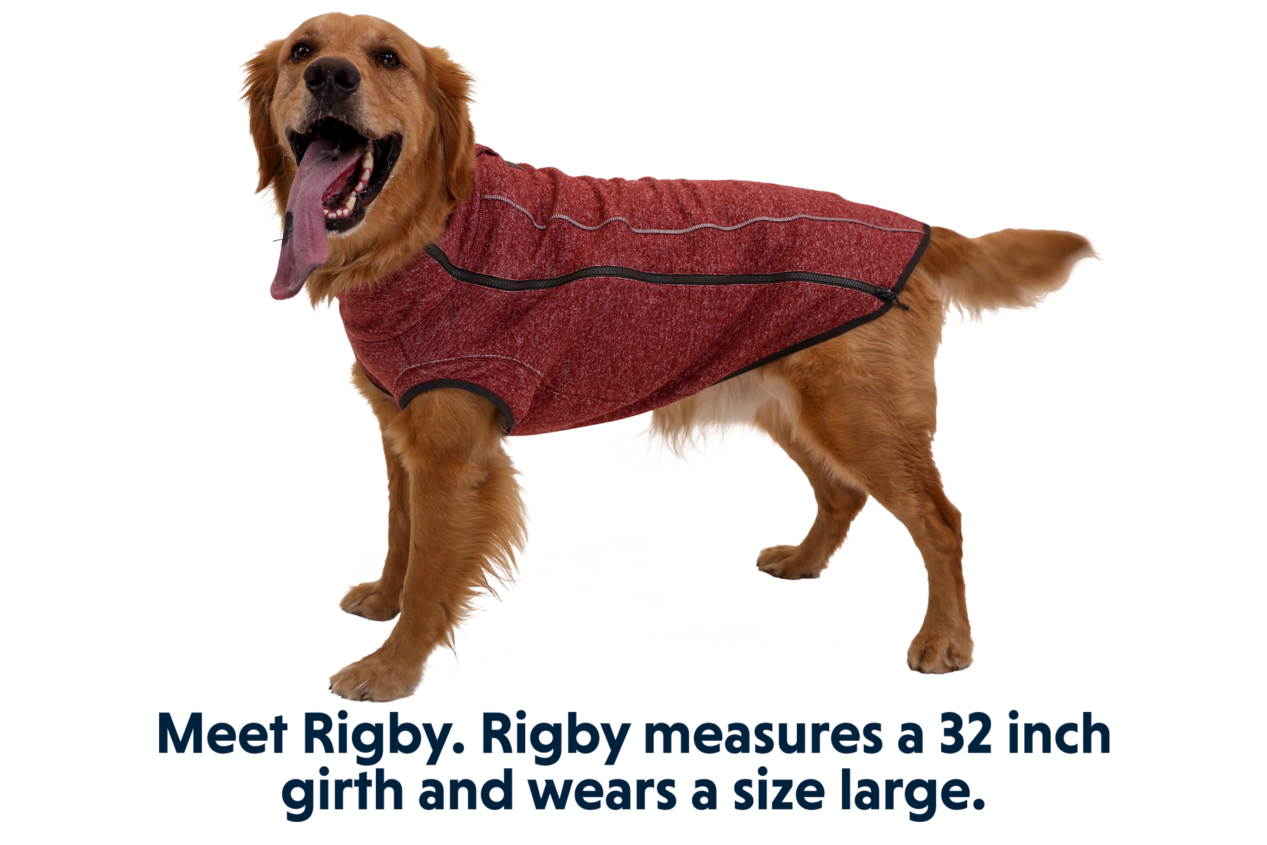 Ruffwear fernie deals dog sweater