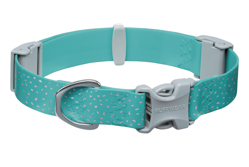 Dog collars deals