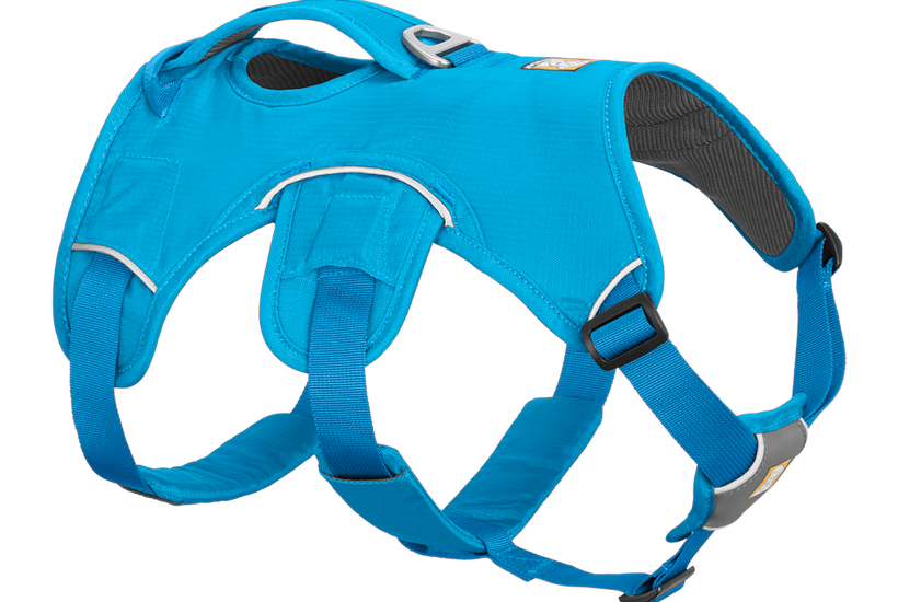 Ruffwear webmaster top harness small