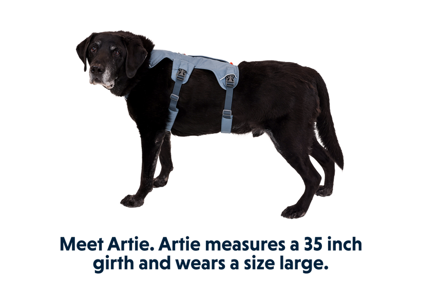 Web Master Dog Harness with Handle Ruffwear
