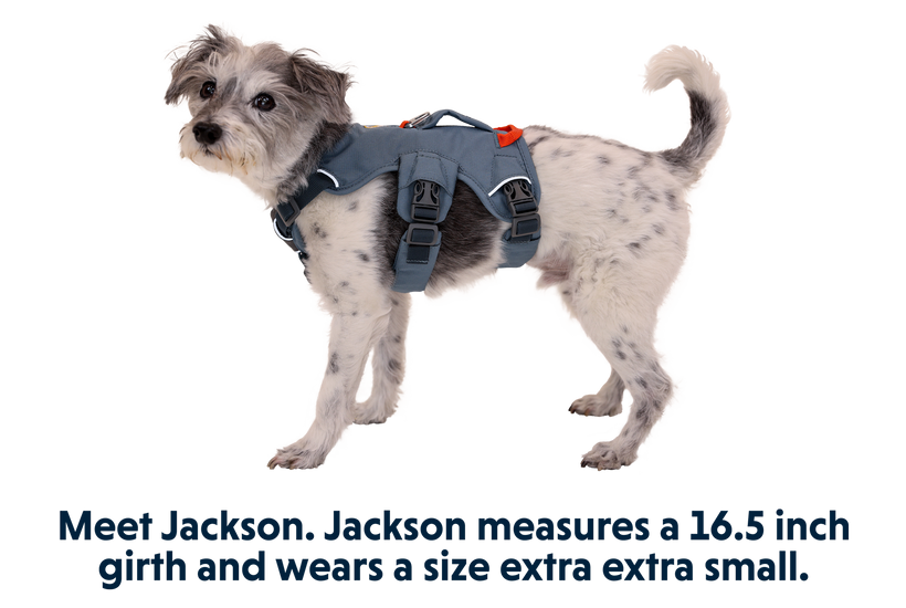 Ruffwear stockists top