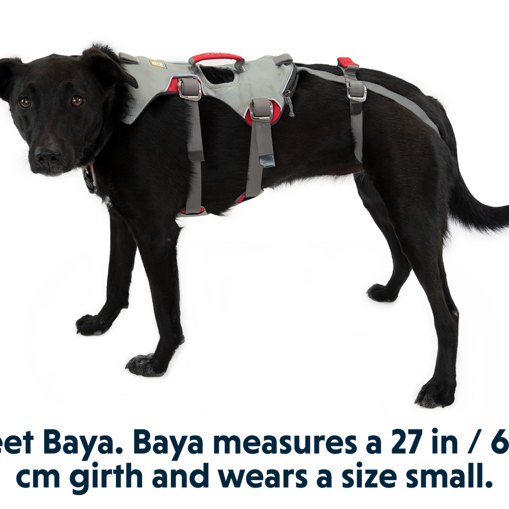 Doubleback™ Full Body Dog Safety Harness Ruffwear