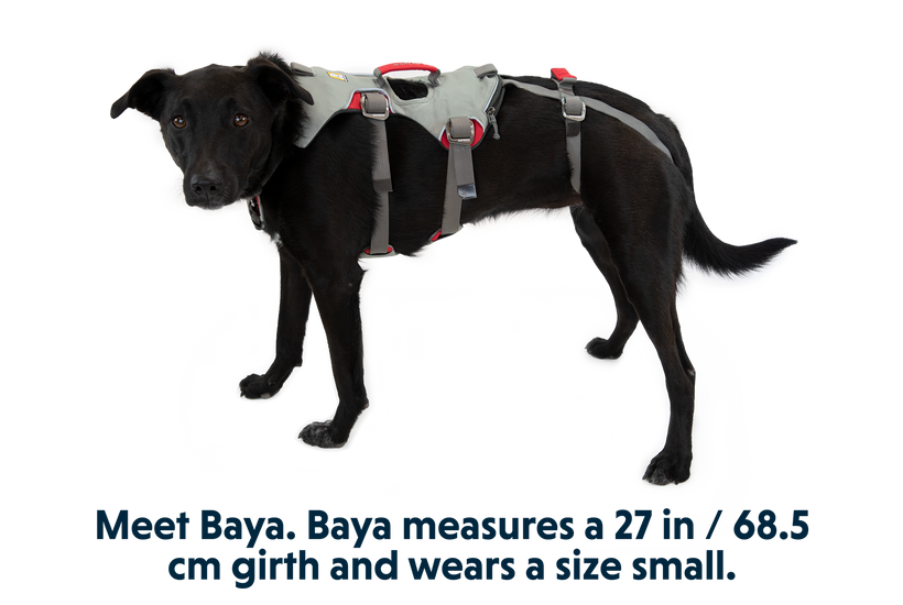 Rough wear harness best sale