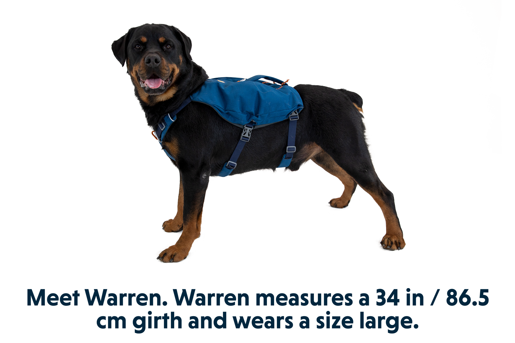 Switchbak Multi Function Dog Harness Ruffwear