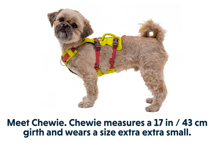 Ruffwear top harness sale