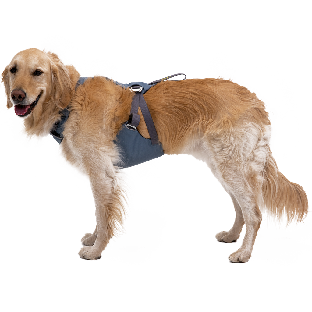 Load Up™ Dog Car Harness CrashTested, StrengthRated Ruffwear