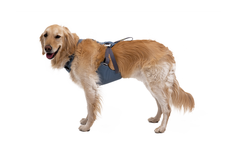 Ruffwear load up harness crash test outlet