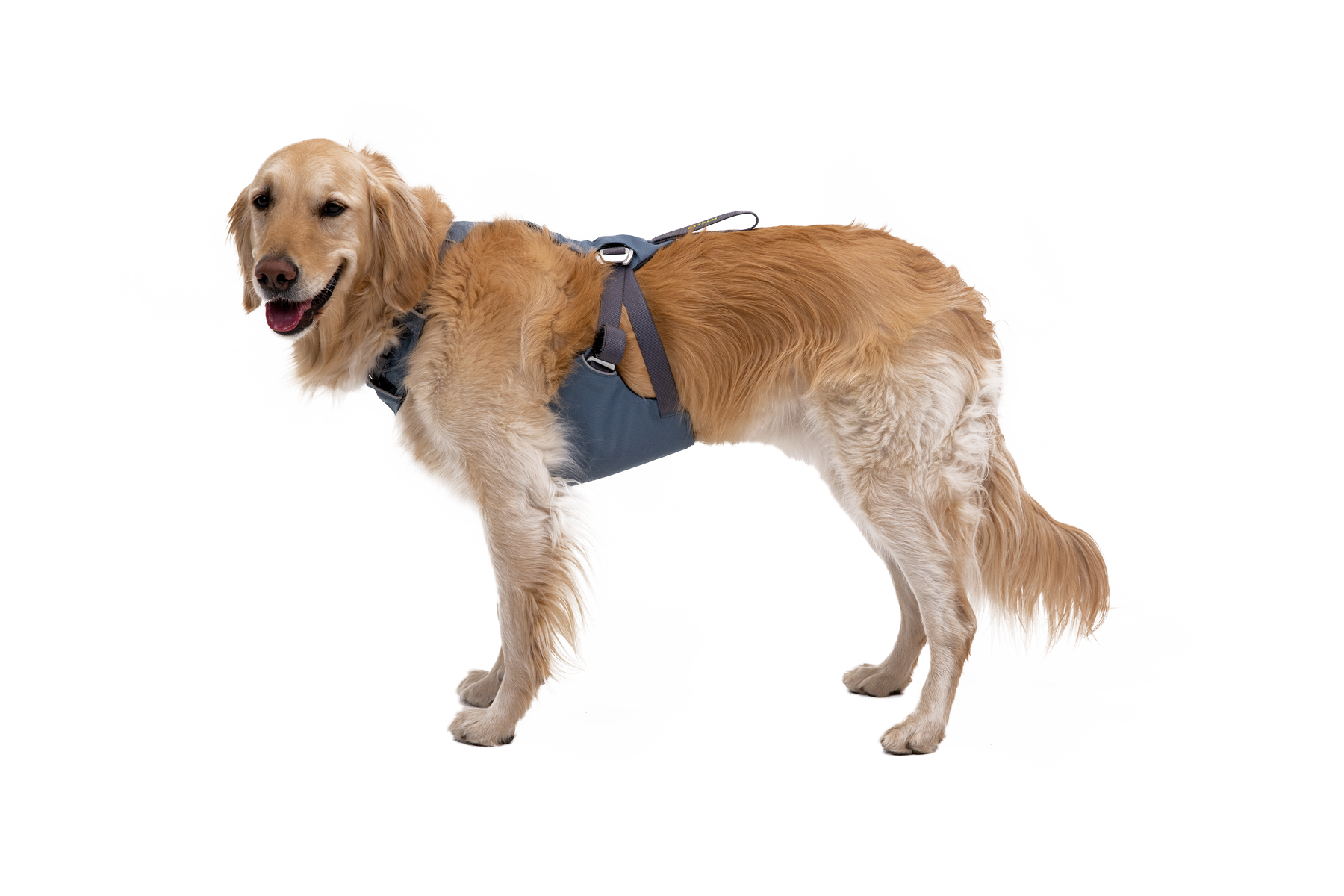 Ruffwear load top up crash test
