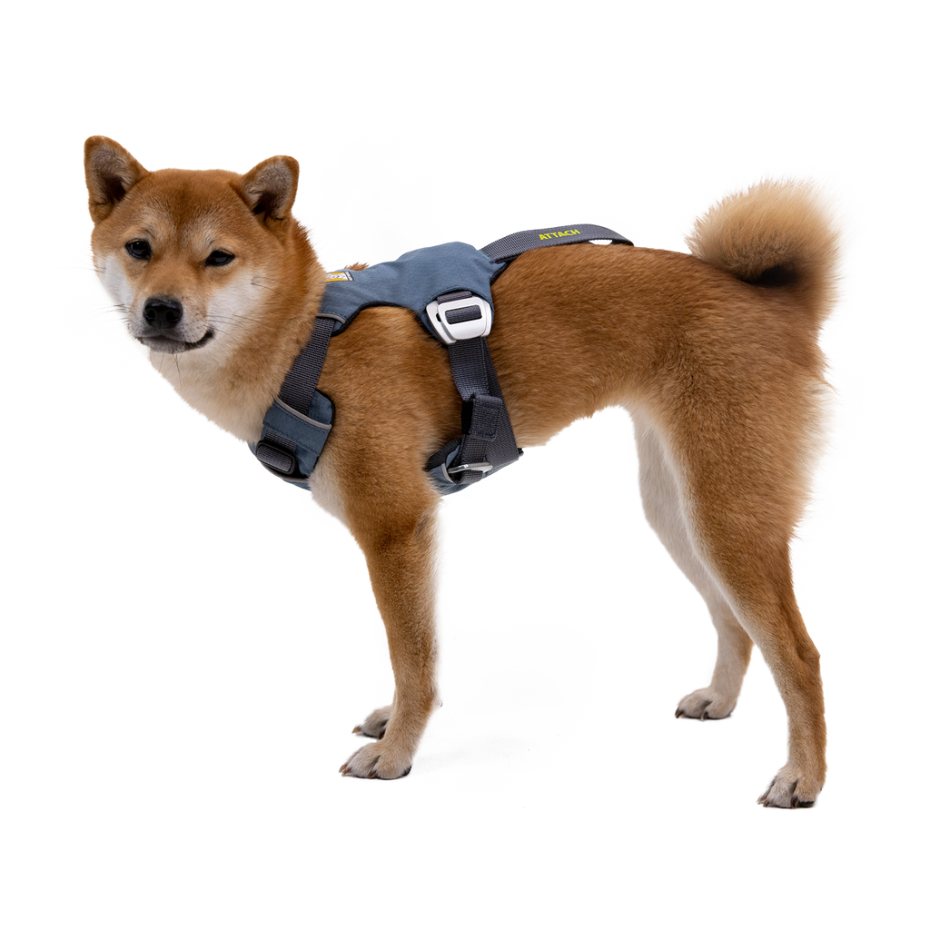 Load Up™ Dog Car Harness CrashTested, StrengthRated Ruffwear