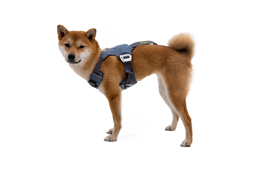Ruffwear load up harness crash test outlet