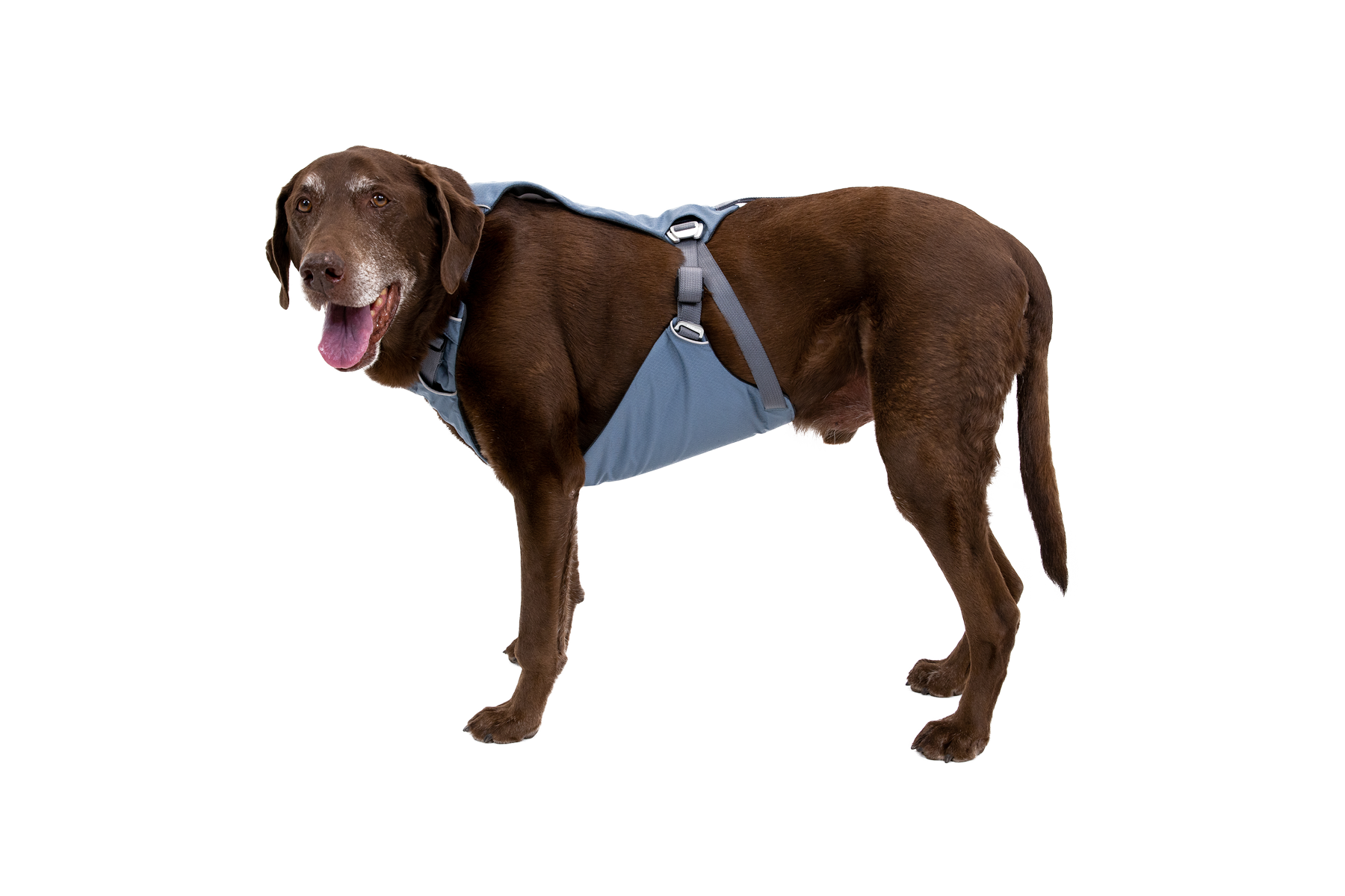 Ruffwear load up discount harness crash test