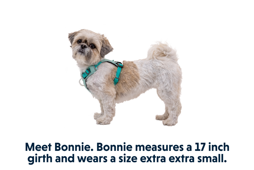 Hi Light Lightweight Dog Harness