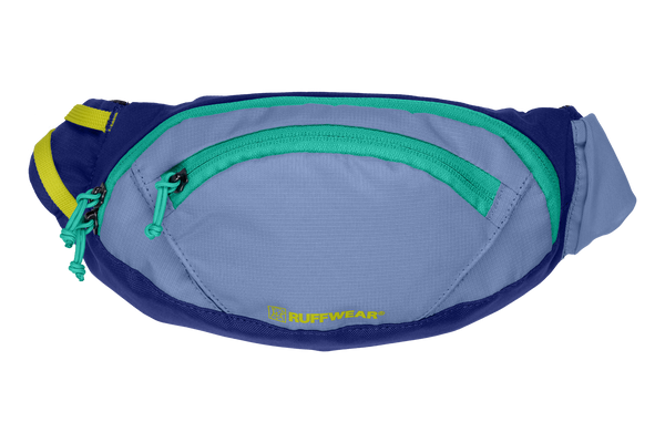 Blue hotsell fanny pack