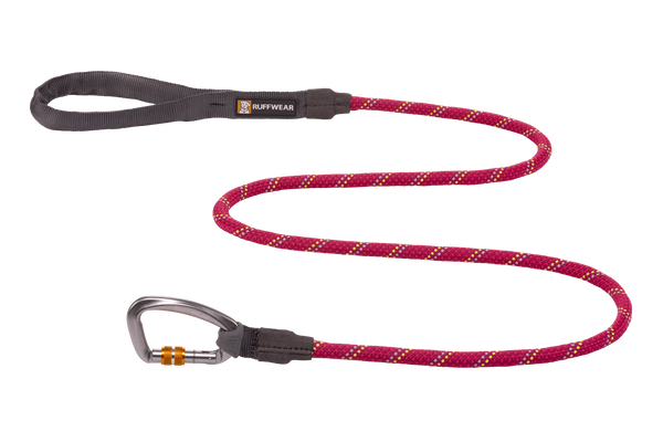 Dog leash hot sale price