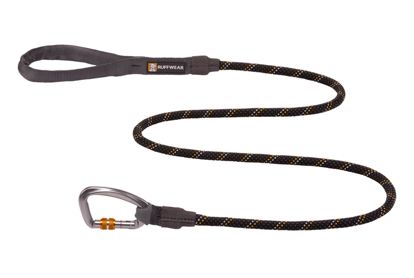 Climbing rope dog hot sale leash