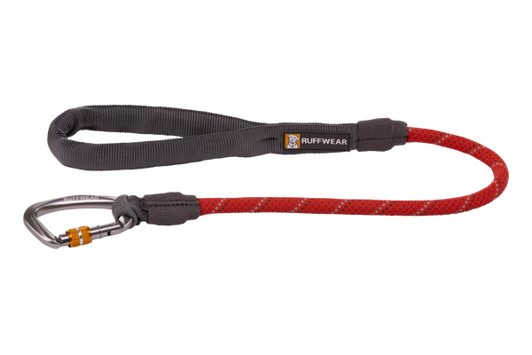 Long dog best sale leads uk