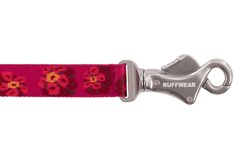 Alpenglow Burst
