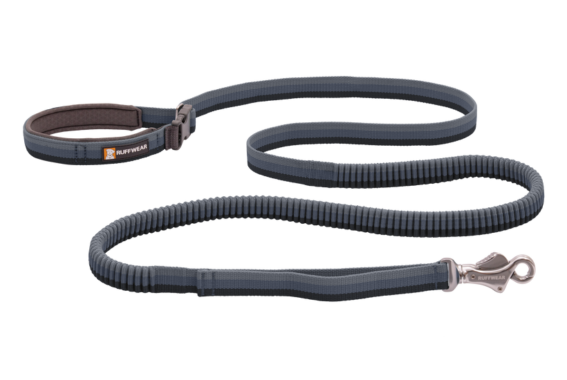 Long bungee dog leash deals