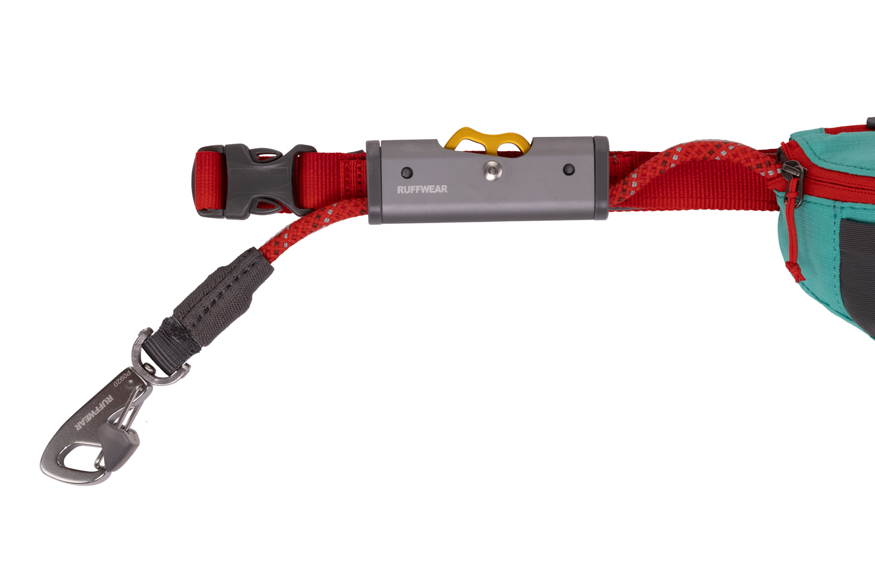 Dog 2024 leash hitch