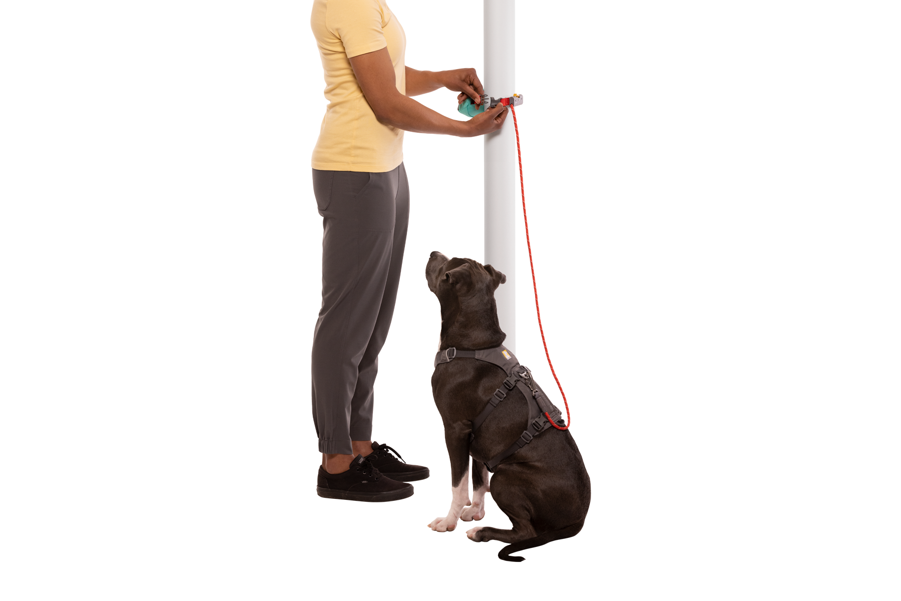 Hitch Hiker Dog Lead Ruffwear