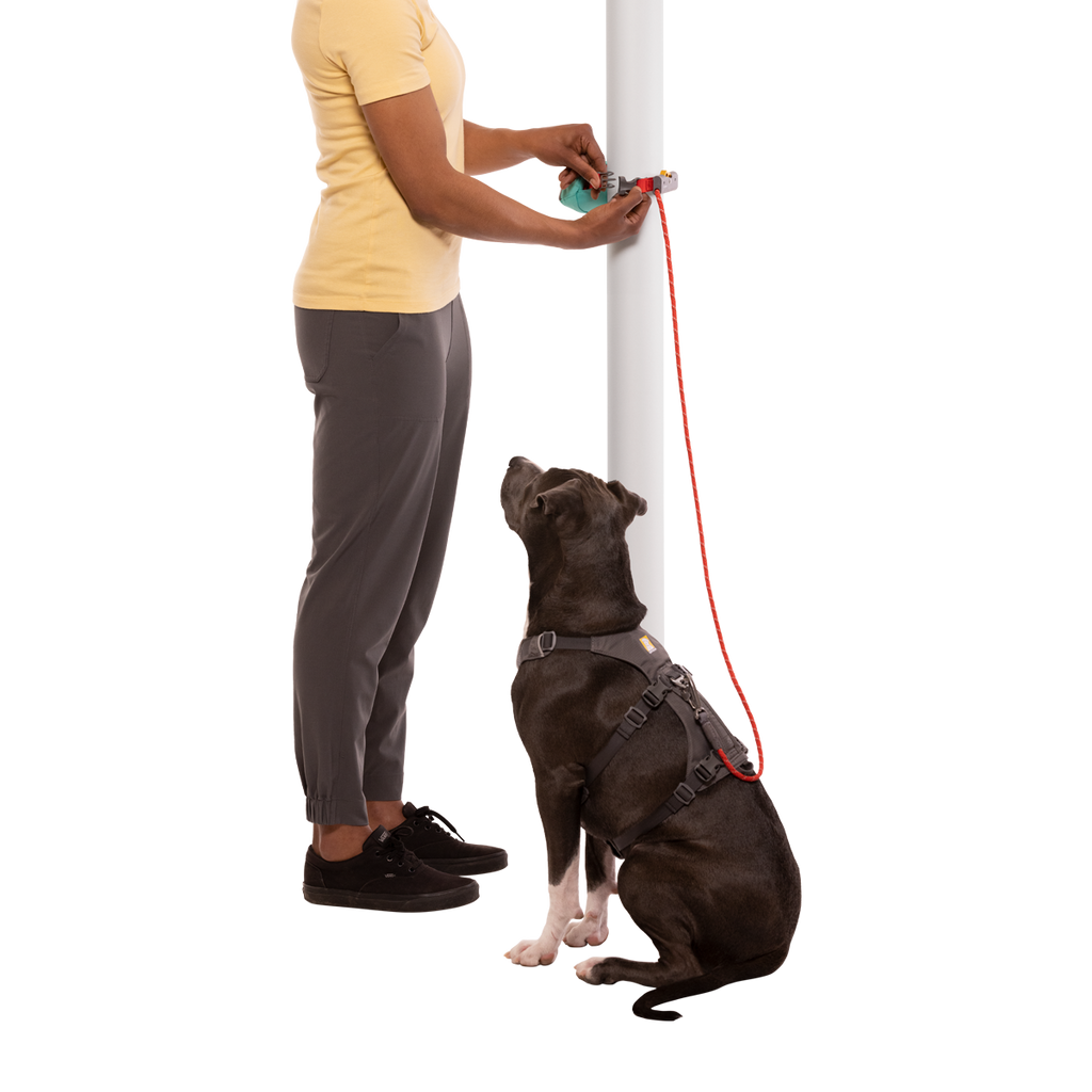 Hitch Hiker™ Dog Lead Ruffwear