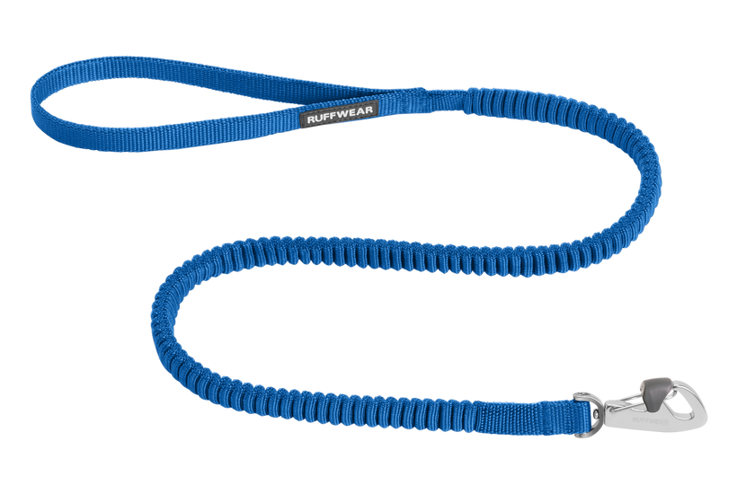 Dog runner deals leash