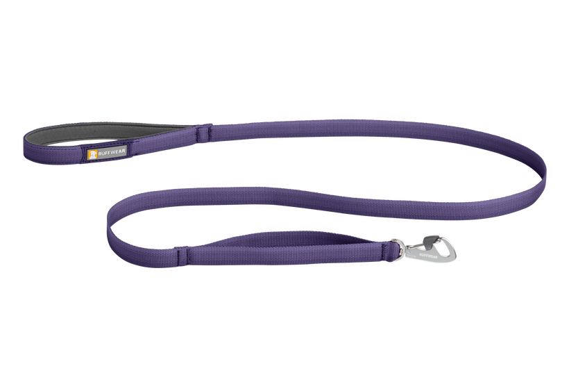 Lightweight leash online